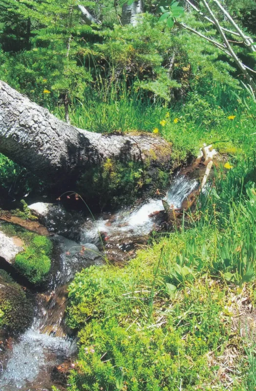 Mount Shaster Bergquelle